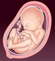 Shree Hospital Aurangabad